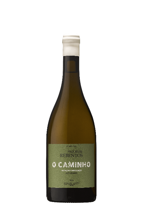 Pequenos Rebentos O Caminho