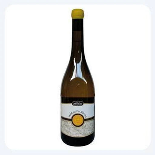 Pedra da Paciência Branco 75cl - Vinho Elegante da Região Dão