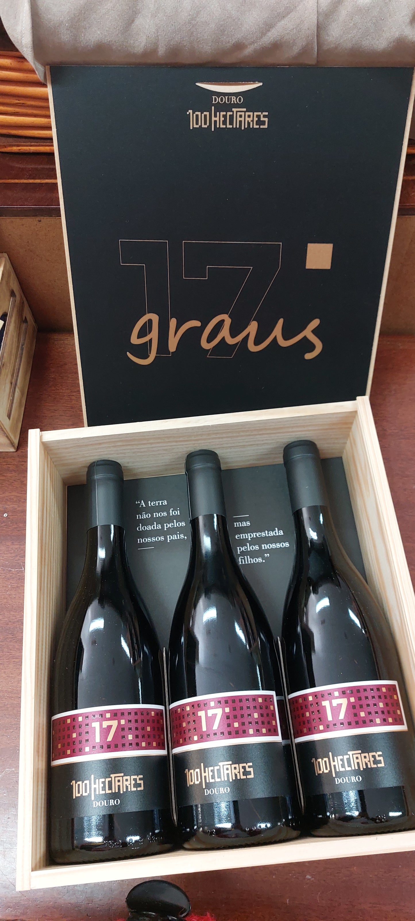 Conjunto de Vinho 100 Hectares 17%