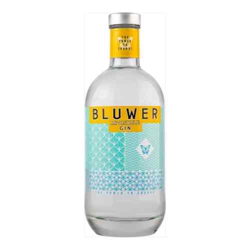 Gin Bluwer Invisible